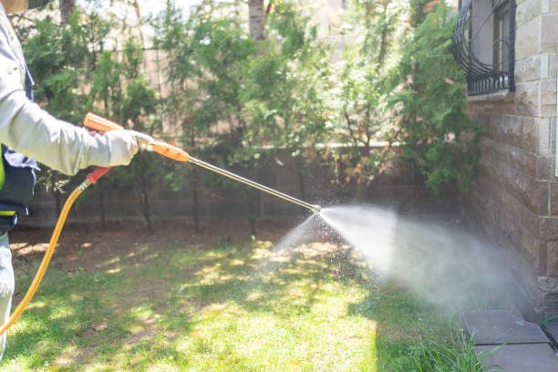 Best Emergency Pest Control  in , MO