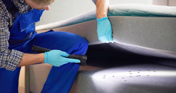 Best Pest Prevention Services  in , MO