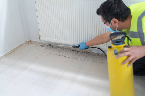 Best Pest Removal Services  in , MO